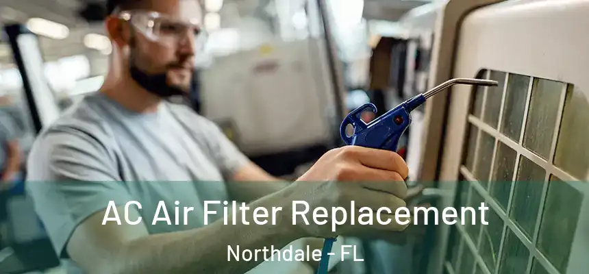 AC Air Filter Replacement Northdale - FL