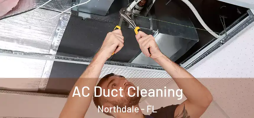  AC Duct Cleaning Northdale - FL