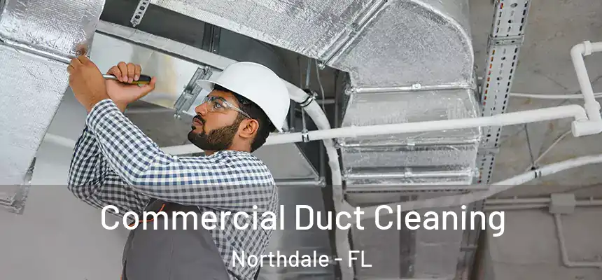  Commercial Duct Cleaning Northdale - FL