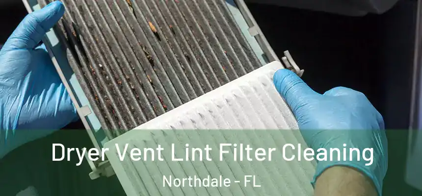  Dryer Vent Lint Filter Cleaning Northdale - FL