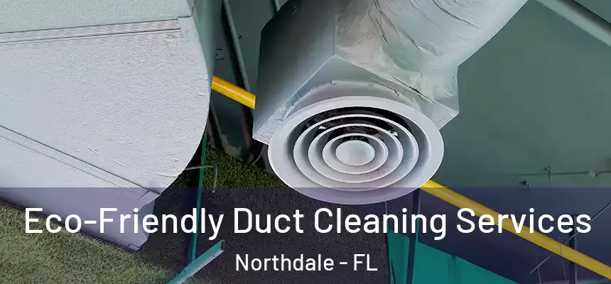 Eco-Friendly Duct Cleaning Services Northdale - FL