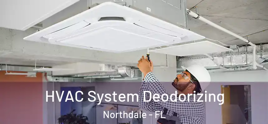  HVAC System Deodorizing Northdale - FL