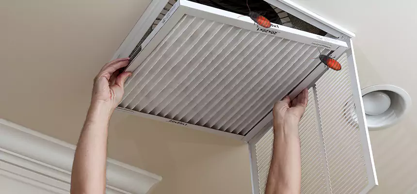 Preventive Cockroach-Proofing for Ducts in Northdale