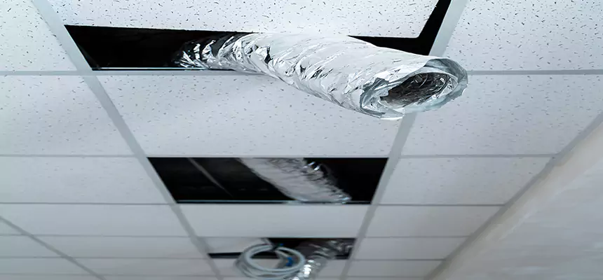 Our Air Duct Pet Hair Removal Services in Northdale, FL