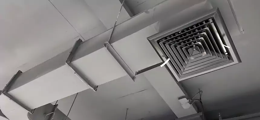 Restorative Allergy Relief Vent Cleaning – Coil, Blower & Housing Detail in Northdale