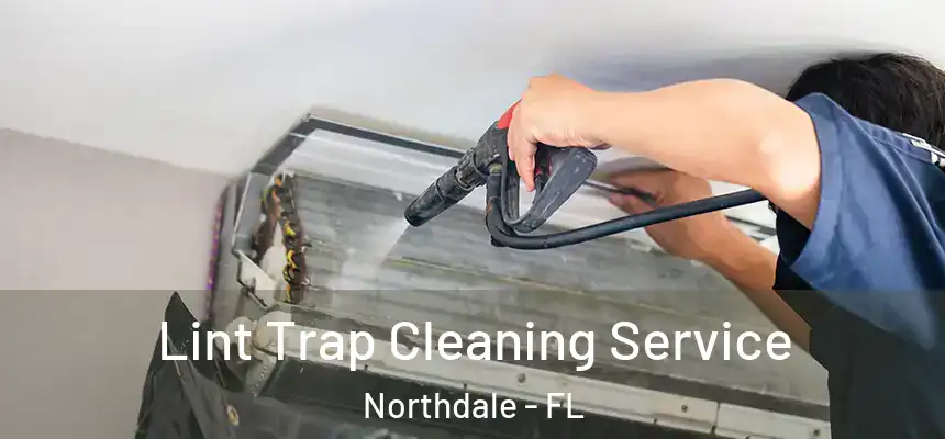 Lint Trap Cleaning Service Northdale - FL