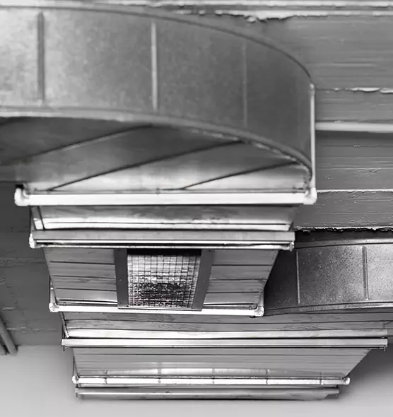 Professional Air Duct Pet Hair Removal in Northdale, FL