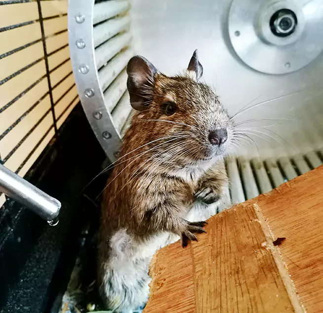 Why Homeowners & Businesses Trust Us Northdale, FL