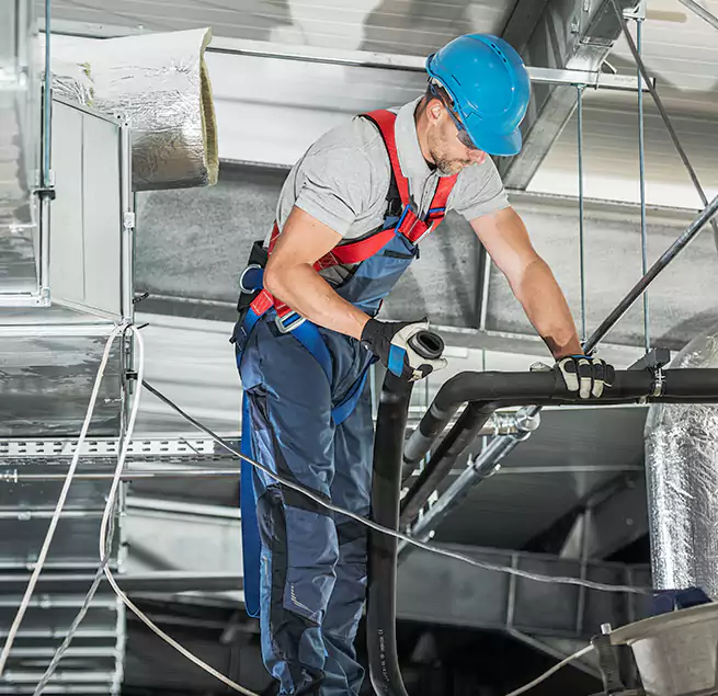 Why Homeowners & Businesses Trust Us in Northdale, FL?