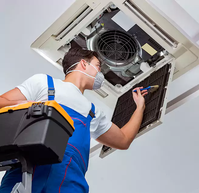 Why Homeowners & Businesses Trust Us in Northdale, FL