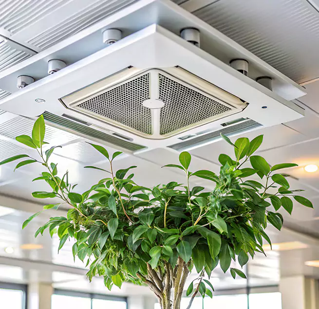 Why Homeowners & Businesses Trust Us in Northdale, FL