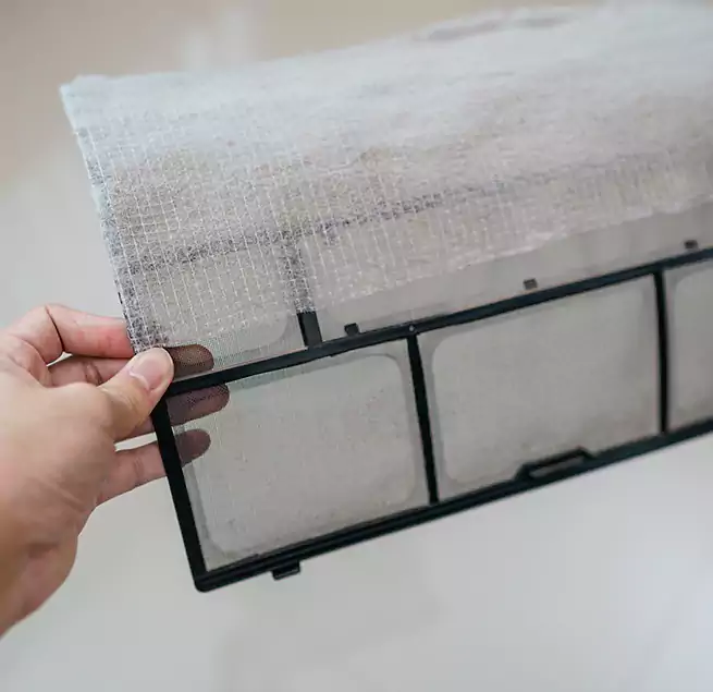 Why Homeowners & Businesses Trust Us in Northdale, FL?