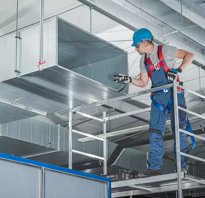 Why Homeowners Businesses Trust Us in Northdale, FL