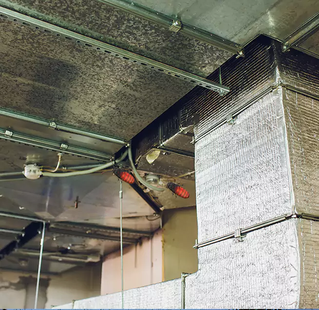 Why Homeowners & Businesses Trust Us Northdale, FL?