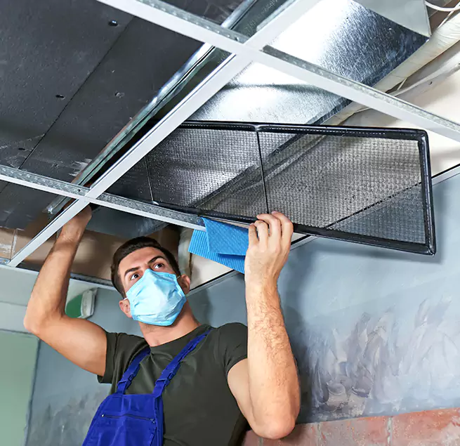 Why Homeowners & Businesses Trust Us in Northdale, FL?