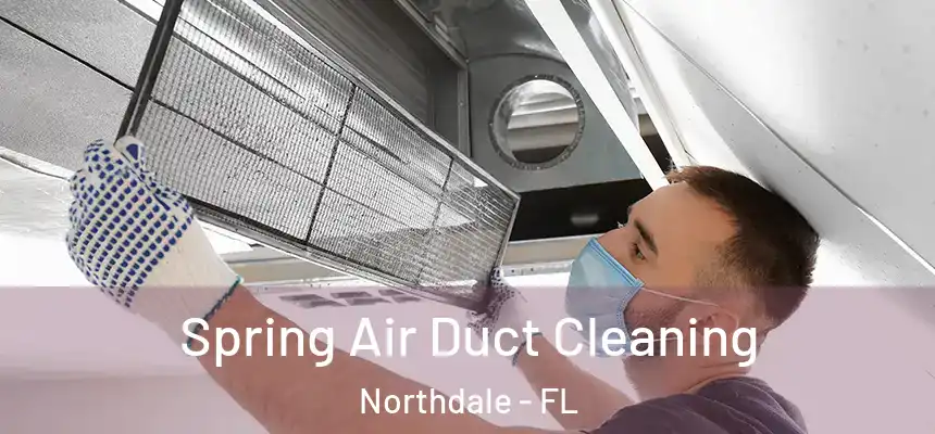 Spring Air Duct Cleaning Northdale - FL