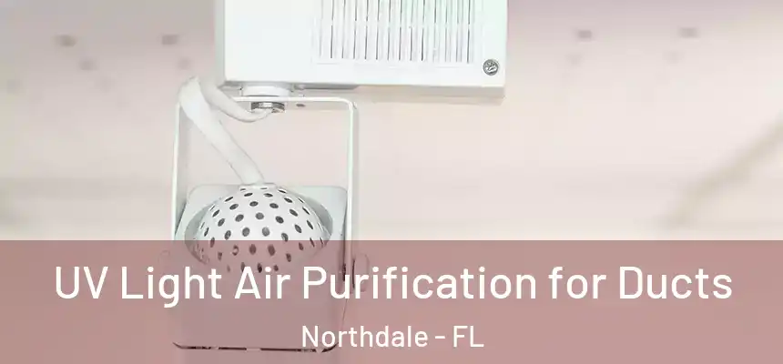  UV Light Air Purification for Ducts Northdale - FL