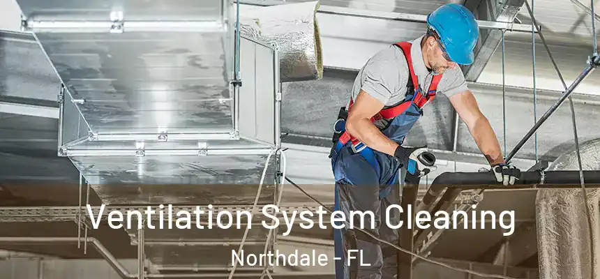  Ventilation System Cleaning Northdale - FL